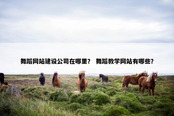 舞蹈网站建设公司在哪里？ 舞蹈教学网站有哪些？