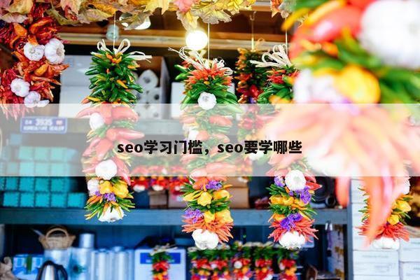 seo学习门槛，seo要学哪些