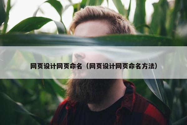 网页设计网页命名（网页设计网页命名方法）