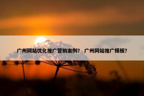 广州网站优化推广营销案例？ 广州网站推广模板？