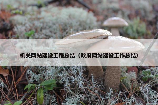 机关网站建设工程总结（政府网站建设工作总结）