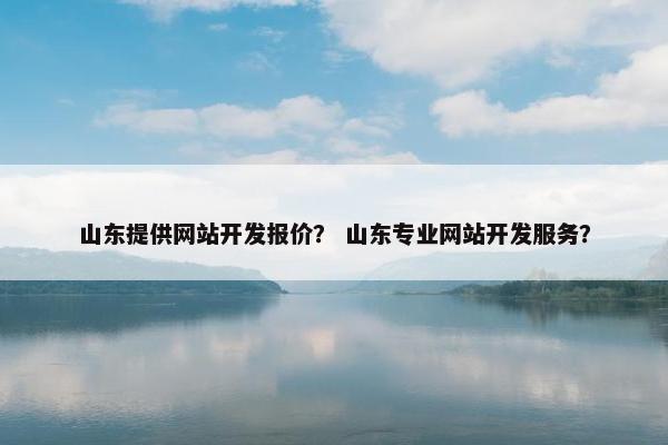 山东提供网站开发报价？ 山东专业网站开发服务？