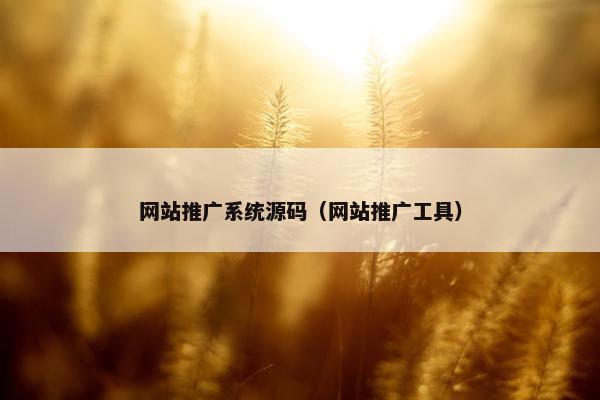 网站推广系统源码（网站推广工具）