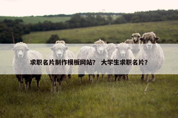 求职名片制作模板网站？ 大学生求职名片？