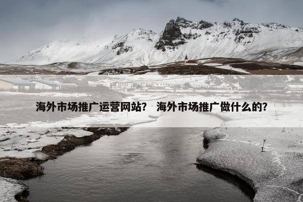 海外市场推广运营网站？ 海外市场推广做什么的？