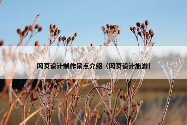 网页设计制作景点介绍（网页设计旅游）