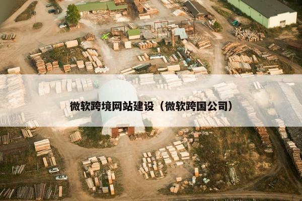 微软跨境网站建设（微软跨国公司）