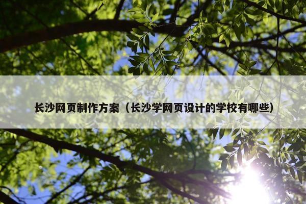 长沙网页制作方案（长沙学网页设计的学校有哪些）