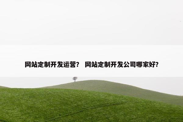 网站定制开发运营？ 网站定制开发公司哪家好？