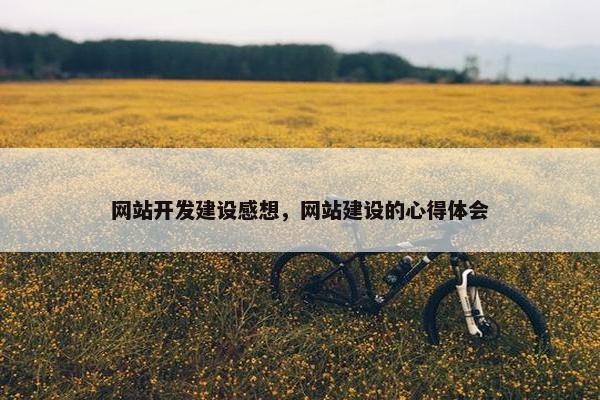 网站开发建设感想，网站建设的心得体会