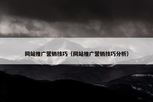 网站推广营销技巧（网站推广营销技巧分析）
