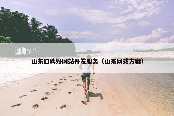 山东口碑好网站开发服务（山东网站方案）