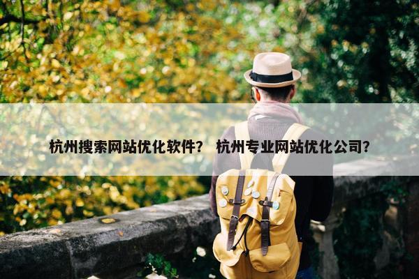 杭州搜索网站优化软件？ 杭州专业网站优化公司？