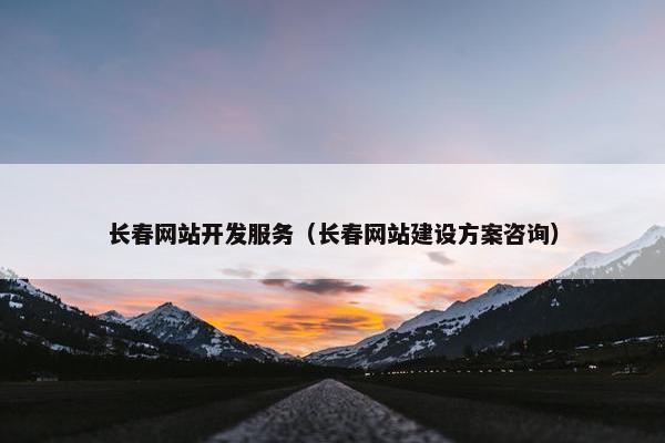 长春网站开发服务（长春网站建设方案咨询）