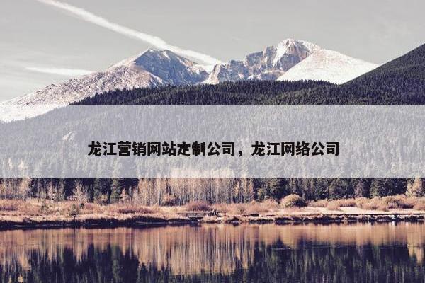 龙江营销网站定制公司，龙江网络公司