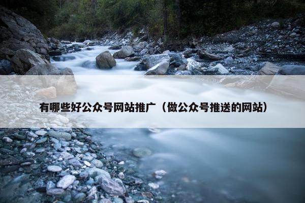 有哪些好公众号网站推广（做公众号推送的网站）