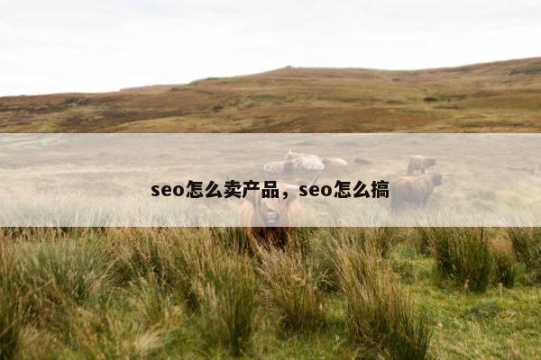 seo怎么卖产品，seo怎么搞