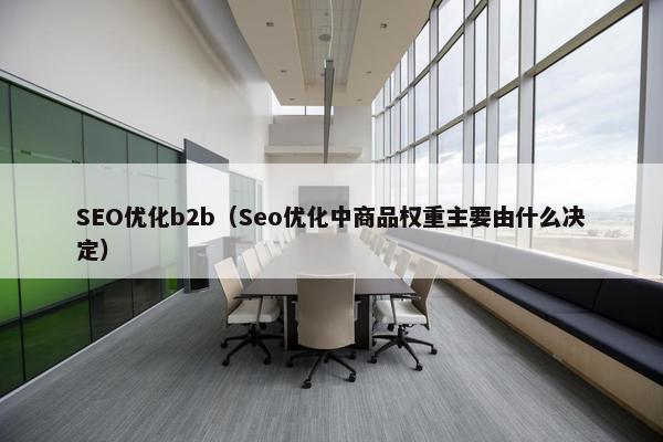 SEO优化b2b（Seo优化中商品权重主要由什么决定）