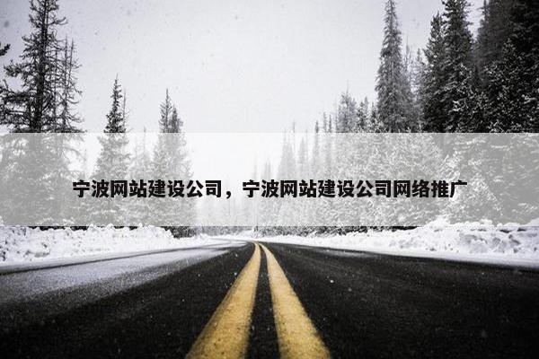 宁波网站建设公司，宁波网站建设公司网络推广
