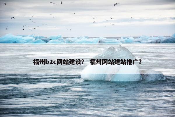 福州b2c网站建设？ 福州网站建站推广？