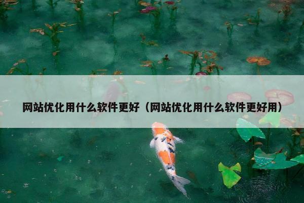 网站优化用什么软件更好（网站优化用什么软件更好用）
