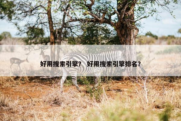 好用搜索引擎？ 好用搜索引擎排名？