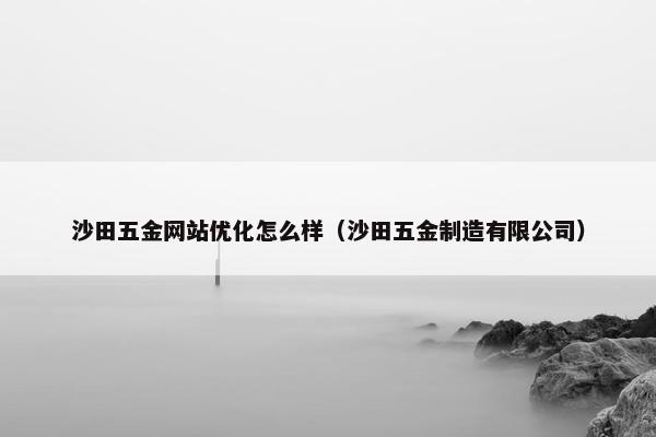 沙田五金网站优化怎么样（沙田五金制造有限公司）