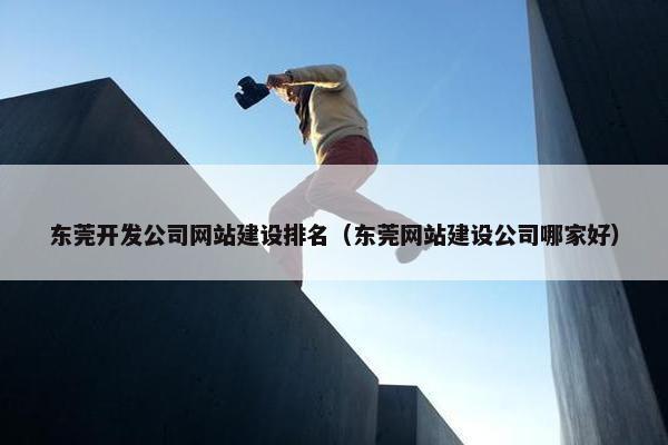 东莞开发公司网站建设排名（东莞网站建设公司哪家好）