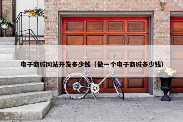 电子商城网站开发多少钱（做一个电子商城多少钱）