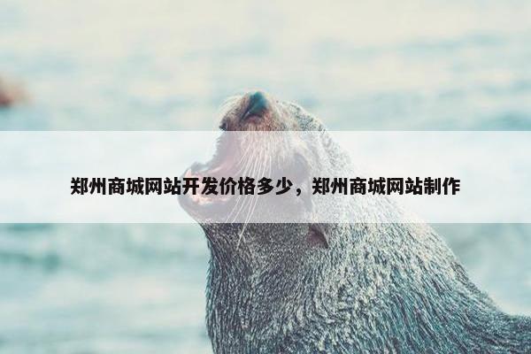 郑州商城网站开发价格多少，郑州商城网站制作
