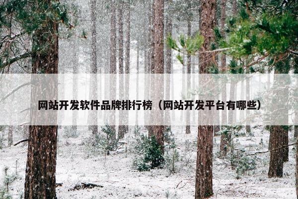 网站开发软件品牌排行榜（网站开发平台有哪些）