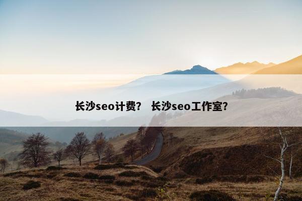 长沙seo计费？ 长沙seo工作室？