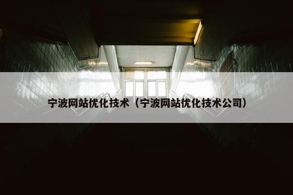 宁波网站优化技术（宁波网站优化技术公司）