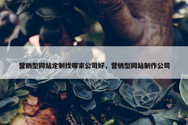 营销型网站定制找哪家公司好，营销型网站制作公司