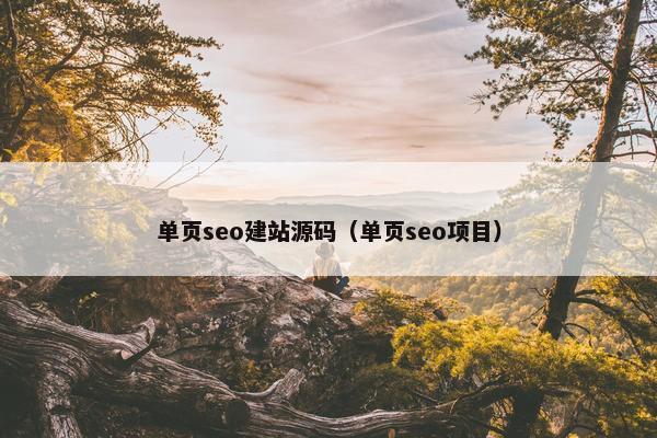 单页seo建站源码（单页seo项目）