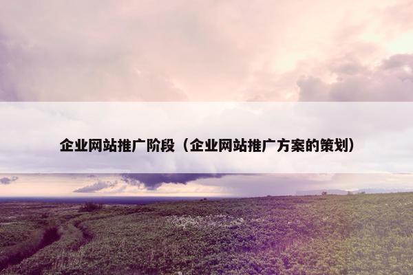 企业网站推广阶段（企业网站推广方案的策划）