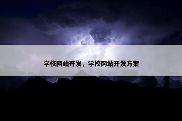 学校网站开发，学校网站开发方案