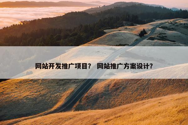 网站开发推广项目？ 网站推广方案设计？