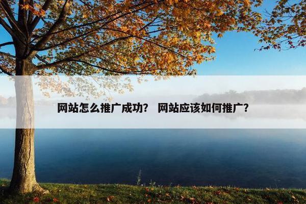 网站怎么推广成功？ 网站应该如何推广？