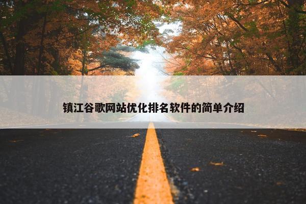镇江谷歌网站优化排名软件的简单介绍