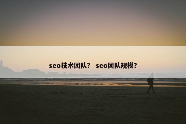 seo技术团队？ seo团队规模？