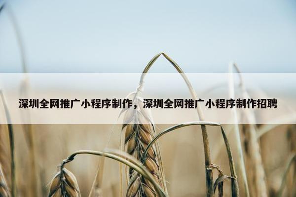 深圳全网推广小程序制作，深圳全网推广小程序制作招聘
