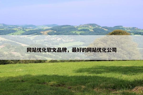 网站优化软文品牌，最好的网站优化公司