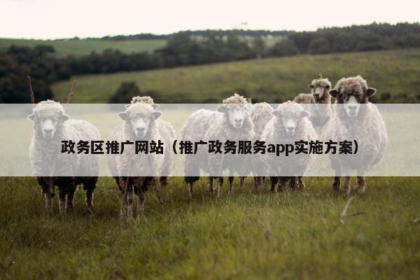 政务区推广网站（推广政务服务app实施方案）