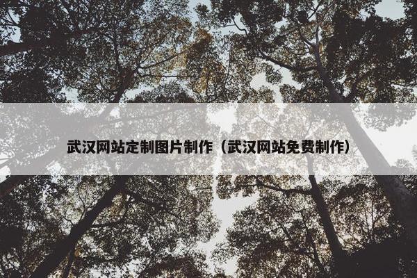 武汉网站定制图片制作（武汉网站免费制作）