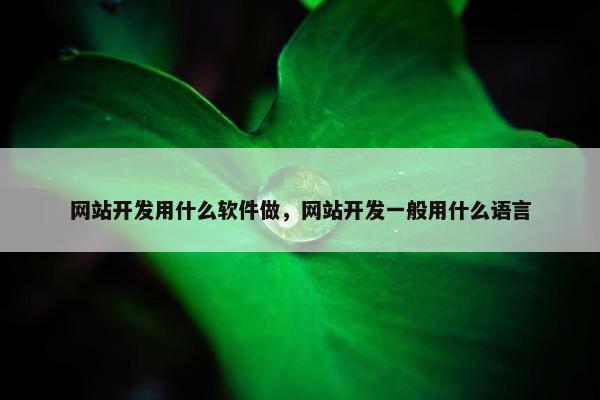 网站开发用什么软件做，网站开发一般用什么语言