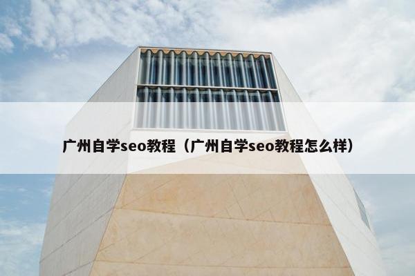 广州自学seo教程（广州自学seo教程怎么样）