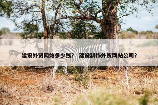 建设外贸网站多少钱？ 建设制作外贸网站公司？