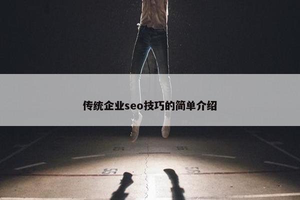 传统企业seo技巧的简单介绍