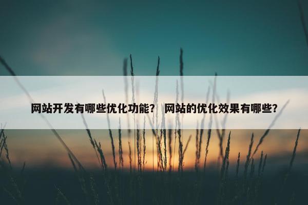 网站开发有哪些优化功能？ 网站的优化效果有哪些？